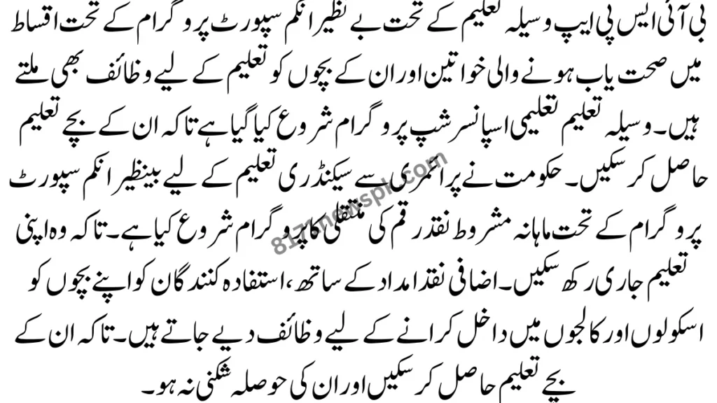 بے نظیر انکم سپورٹ پروگرام وسیلہ تعلیم پروگرام کے ذریعے 17 لاکھ بچوں کو تعلیم تک رسائی حاصل ہے۔ جو بچے تعلیم حاصل نہیں کر سکتے تھے خصوصأ دیہات میں رہنے والے بچے تعلیم حاصل کر سکیں۔