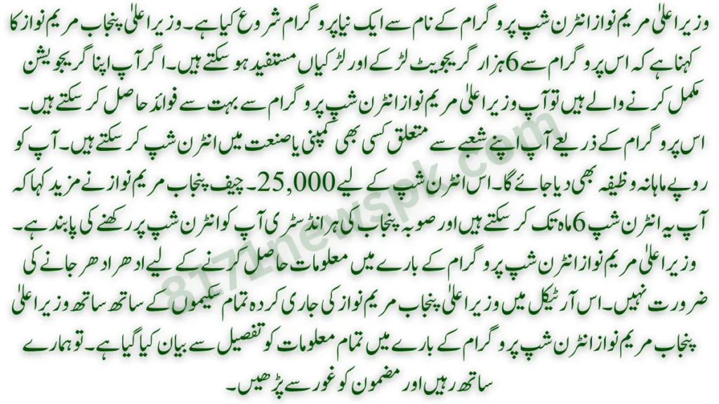 طلباء کے لیے نیا انٹرن شپ پروگرام: وزیراعلیٰ پنجاب مریم نواز نے وزیراعلیٰ مریم نواز انٹرن شپ پروگرام کے نام سے ایک نیا پروگرام شروع کیا ہے۔