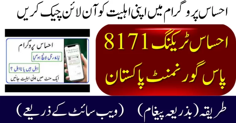 Ehsaas Tracking 8171 Pass CNIC Check New Update 2024