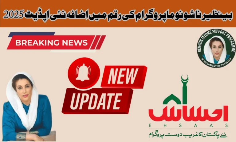 حکومت پاکستان نے حاملہ خواتین کی مدد کے لیے بے نظیر ناشونوما پروگرام اماؤنٹ بنایا ہے۔ ہمارے معاشرے میں مالی حالت خود نوزائیدہ بچوں اور ماؤں میں غذائی قلت کی سب سے عام وجہ ہے۔