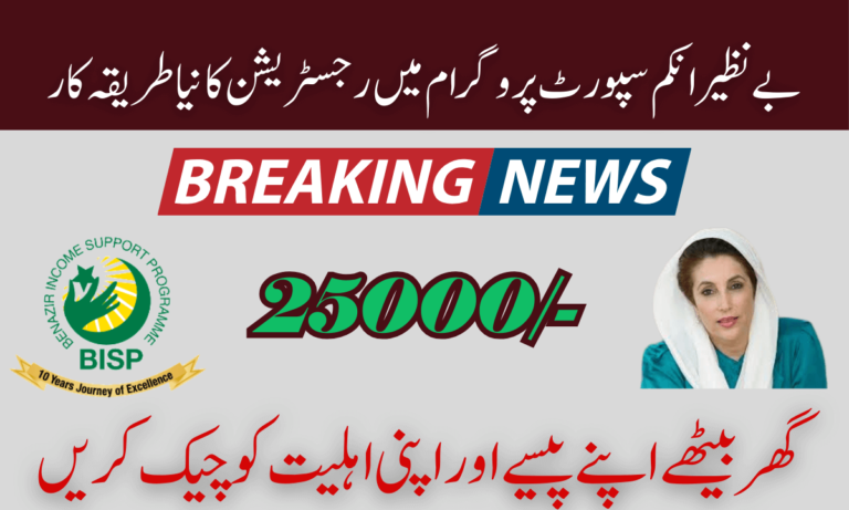 8171 Benazir Income Support Program
