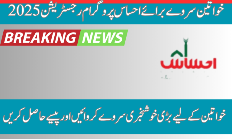 خواتین کے لیے خوشخبری سروے کرائیں اور پیسے حاصل کریں