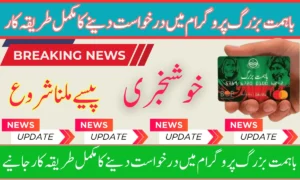 Ehsaas Ba Himmat Buzurg Program is to help the elderly in Pakistan. Who do not have any source of income.