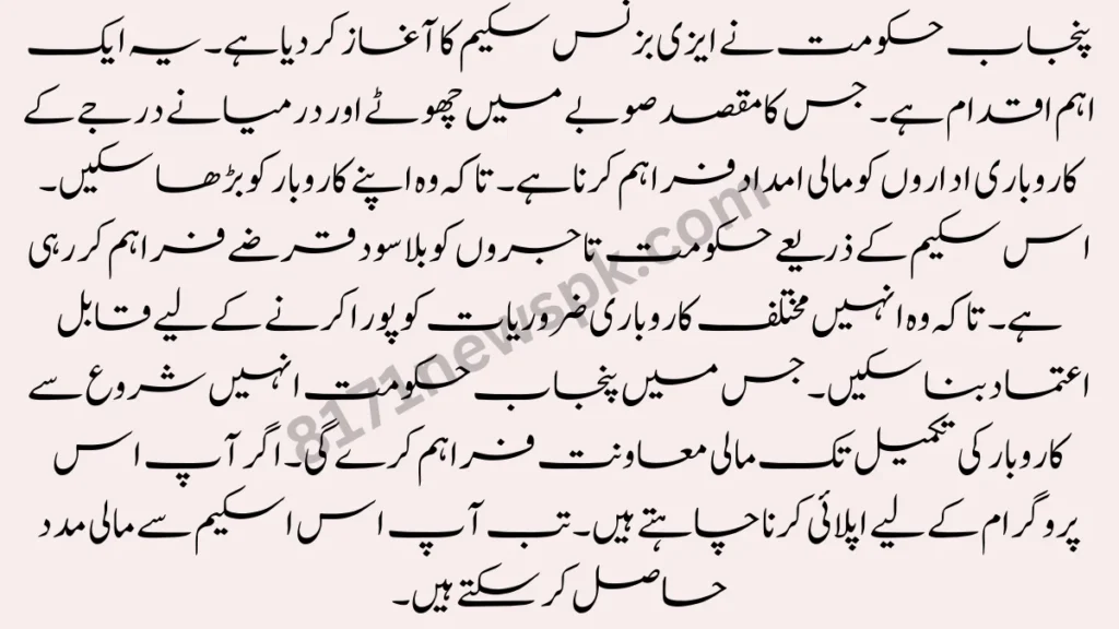 پنجاب حکومت نے ایزی بزنس سکیم کا آغاز کر دیا ہے۔ یہ ایک اہم اقدام ہے۔ جس کا مقصد صوبے میں چھوٹے اور درمیانے درجے کے کاروباری اداروں کو مالی امداد فراہم کرنا ہے