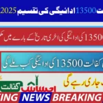 The 2025 distribution of BISP Kafalat 13500 Uday has been released.