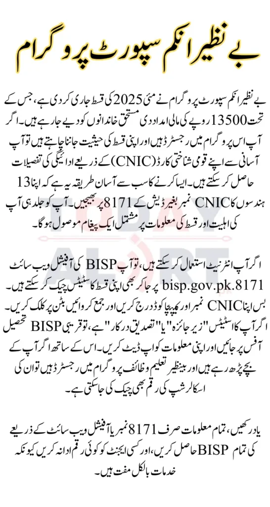 How to Check BISP 8171 May 2025 Payment Status by CNIC
